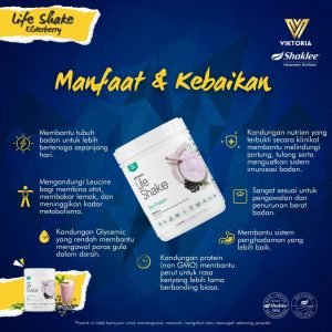 Fungsi Manfaat Kelebihan Life Shake Elderberry Shaklee