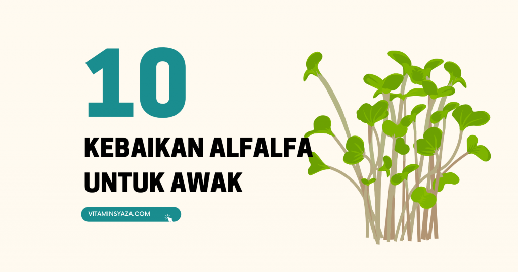10 Kebaikan Alfalfa Untuk Kesihatan (2)