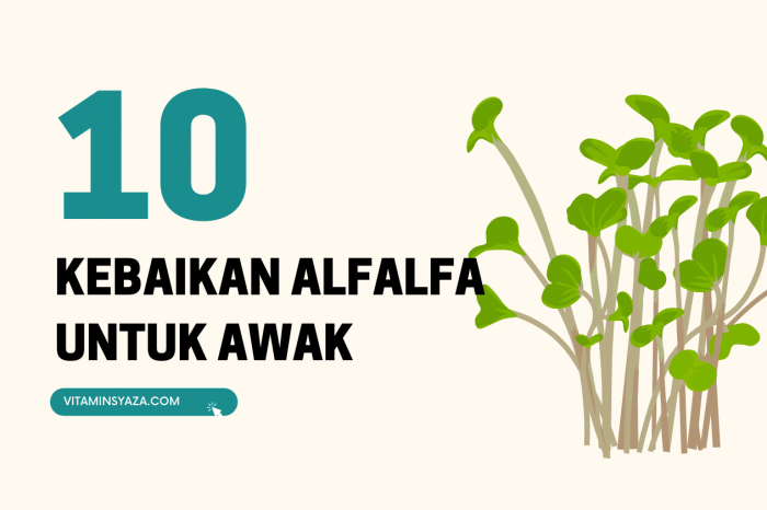 10 Kebaikan Alfalfa Untuk Kesihatan (2)